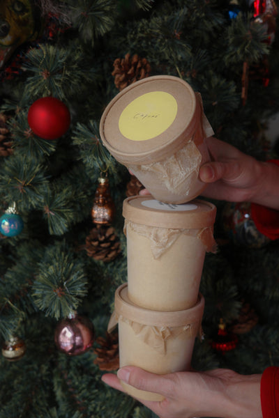 【ホリデイアイスクリーム】2フレーバーセット